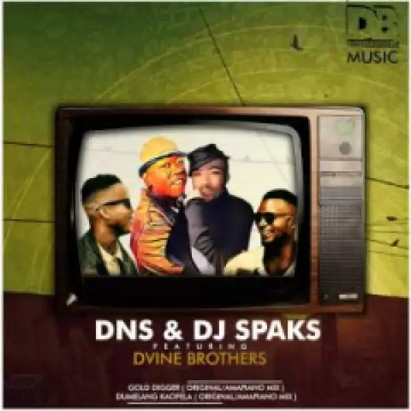 Dns X DJ Sparks - Dumelang Kaofela (AmaPiano Mix) ft. Dvine Brothers